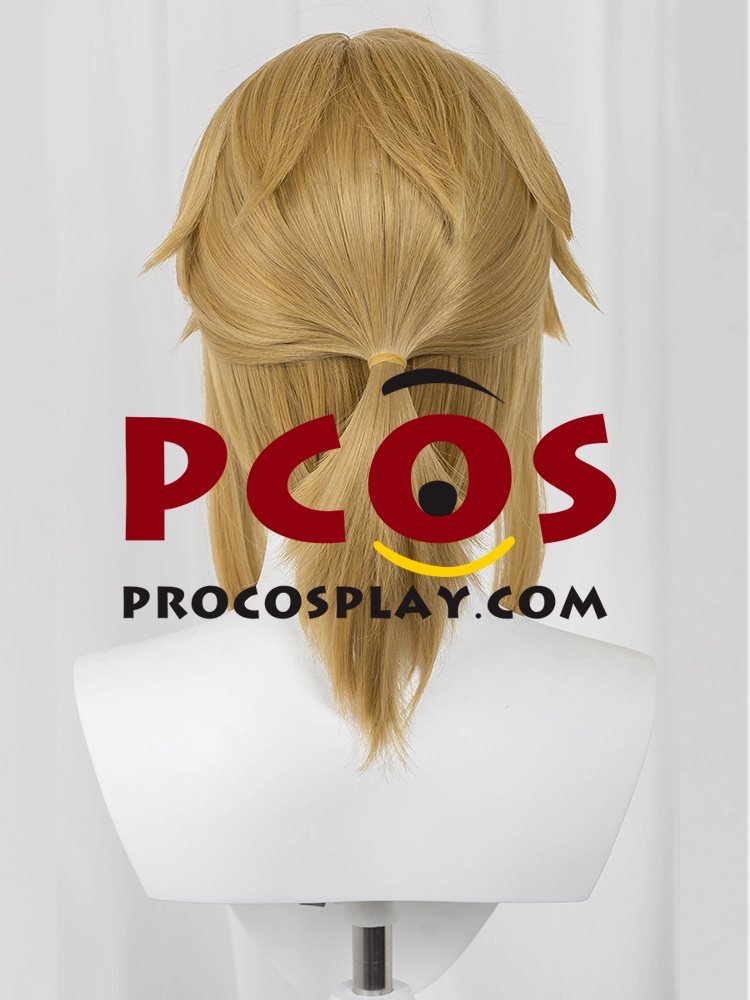 The Legend of Zelda: Tears of the Kingdom Link Cosplay Wigs C07731