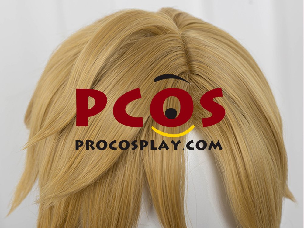 The Legend of Zelda: Tears of the Kingdom Link Cosplay Wigs C07731