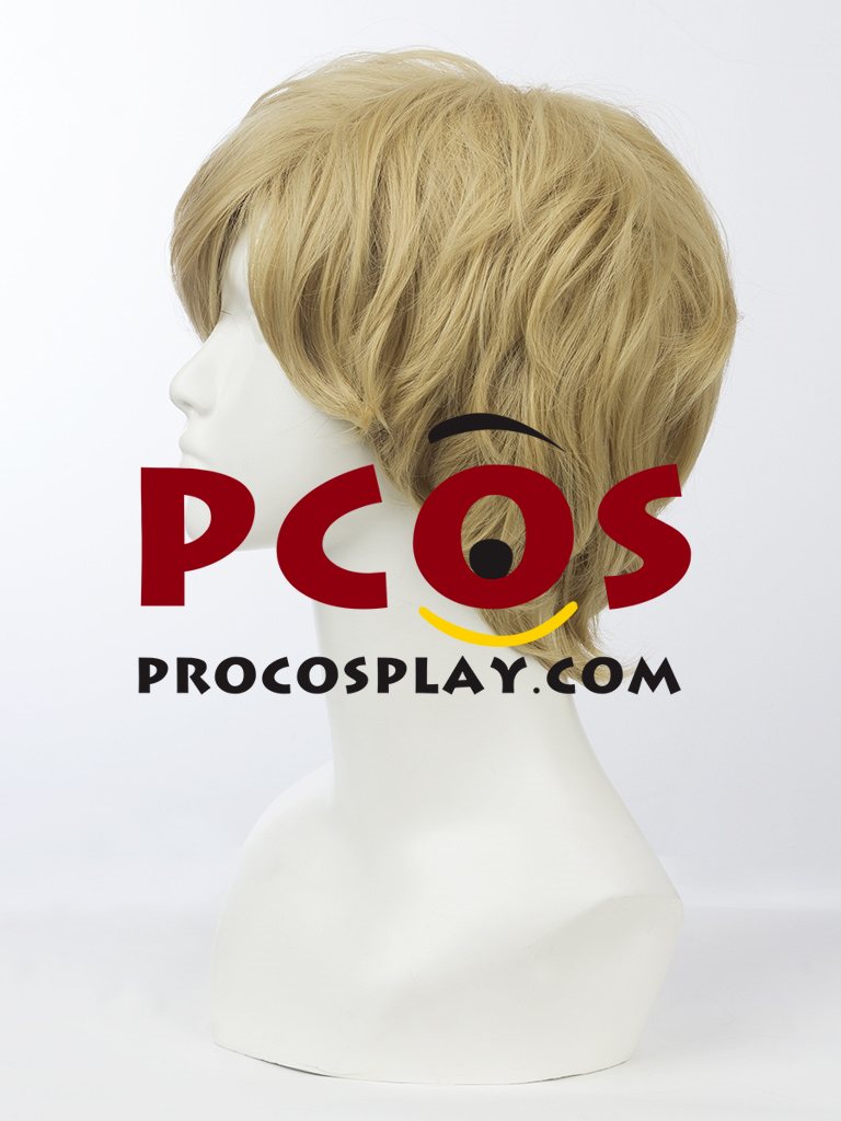 Moon Guardian Cosplay Wig mp003936