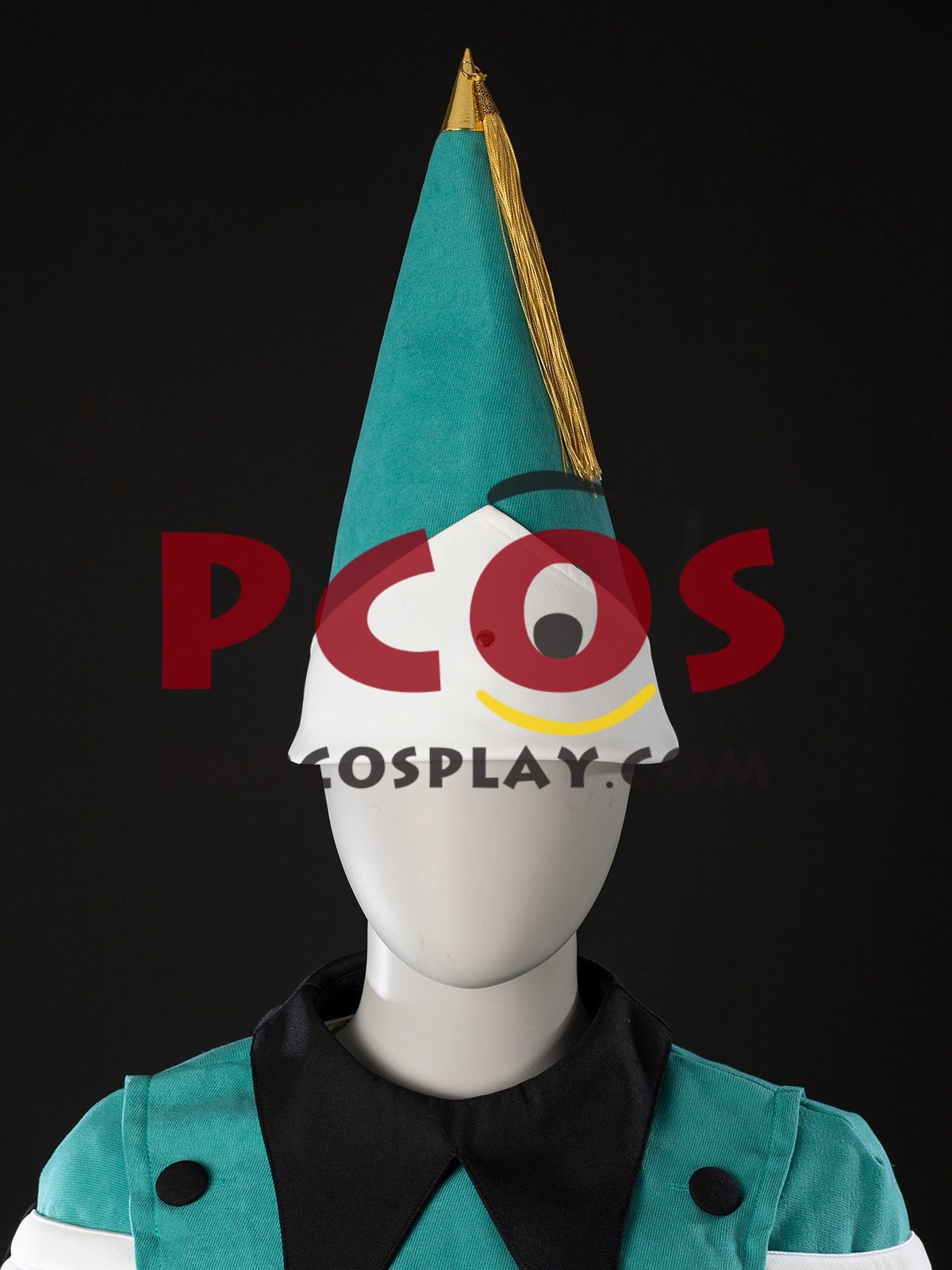 Ready to Ship Atelier of Witch Hat Cosplay Costume FY0261