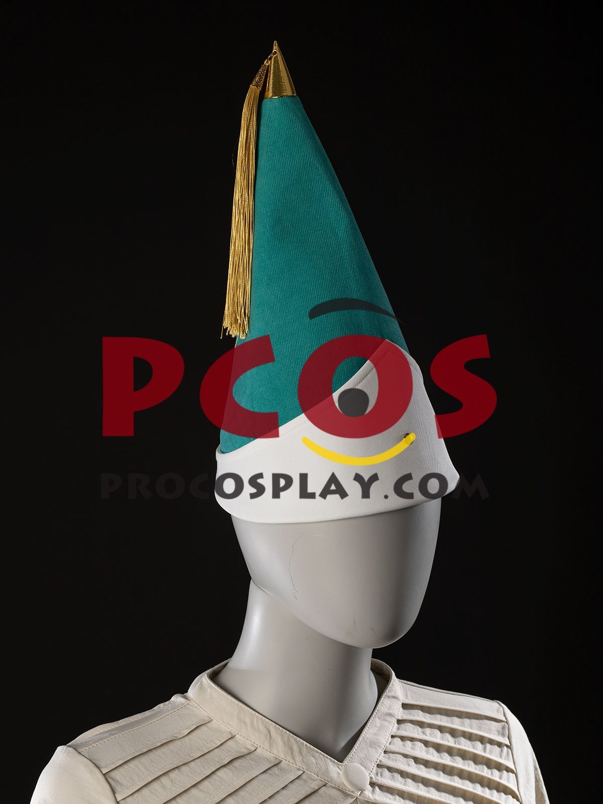 Ready to Ship Atelier of Witch Hat Cosplay Costume FY0261