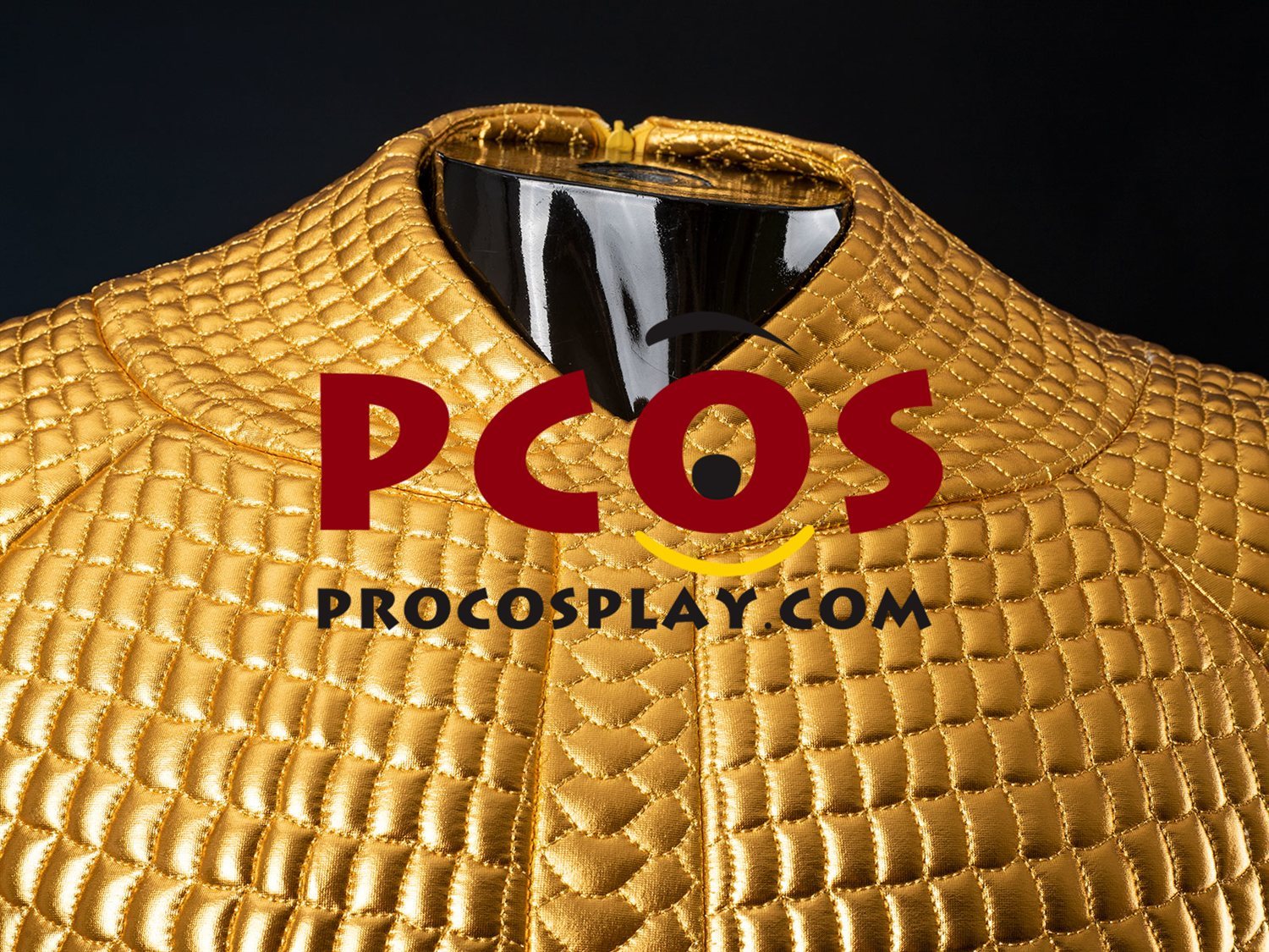 Ready to Ship Gold Scale Warrior Costume C09143