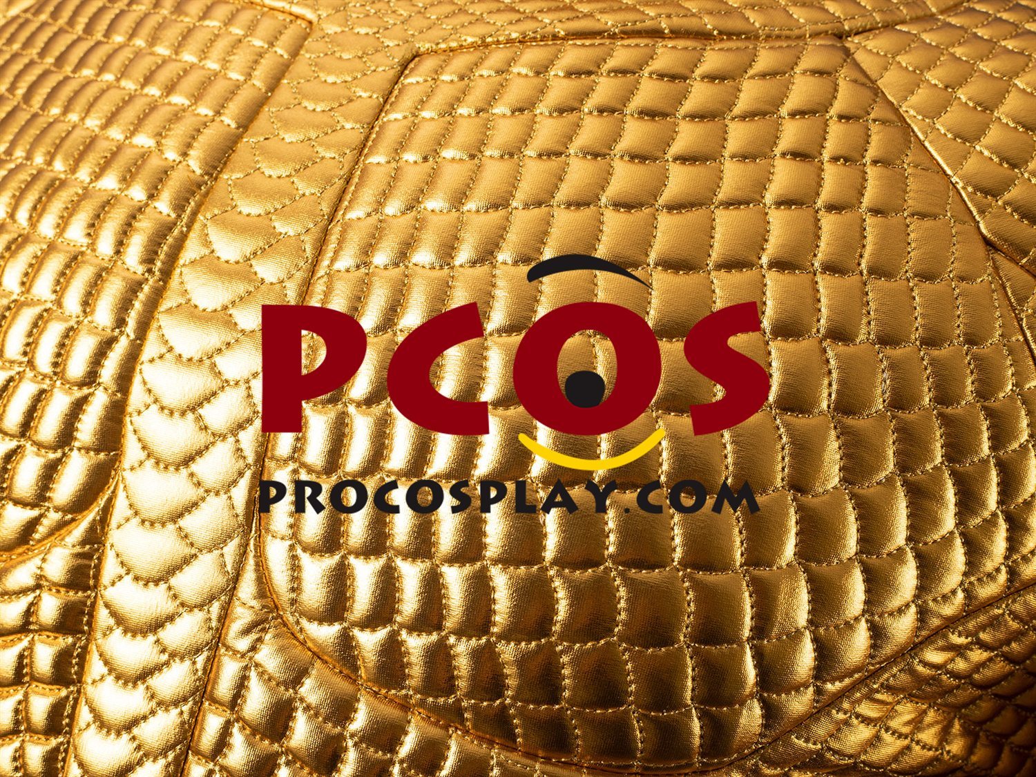 Ready to Ship Gold Scale Warrior Costume C09143