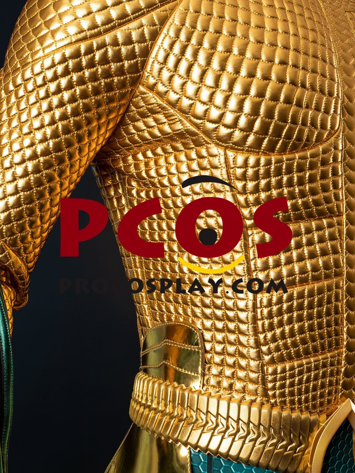 Ready to Ship Gold Scale Warrior Costume C09143