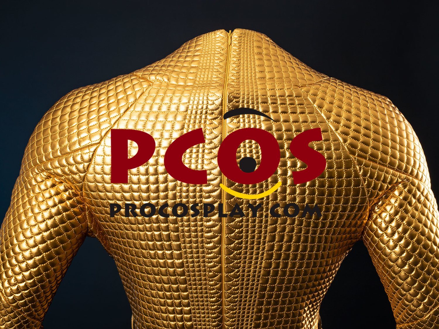 Ready to Ship Gold Scale Warrior Costume C09143