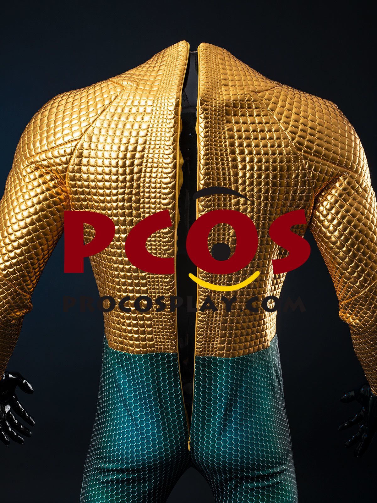 Ready to Ship Gold Scale Warrior Costume C09143