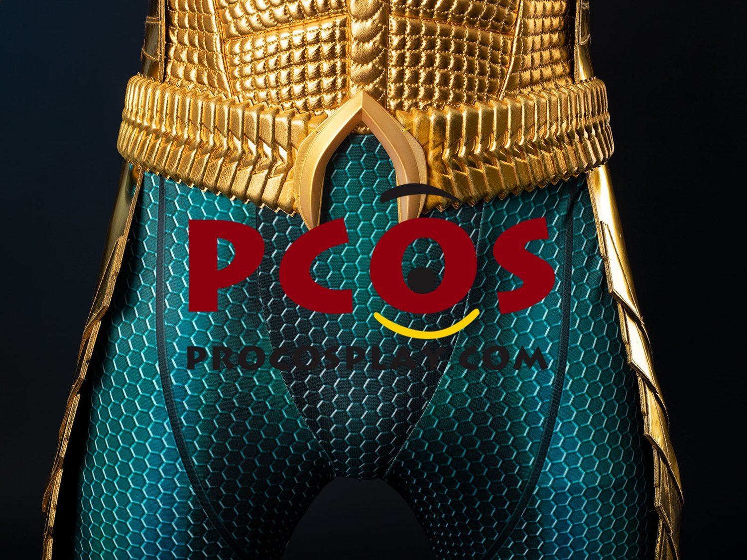 Ready to Ship Gold Scale Warrior Costume C09143