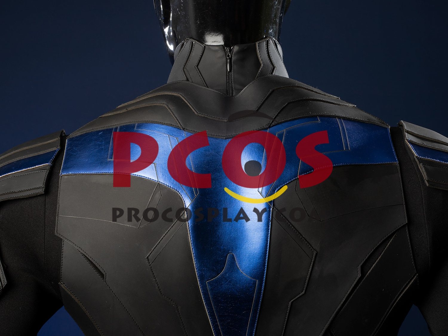 Cosplay Costume Matte Version C09737