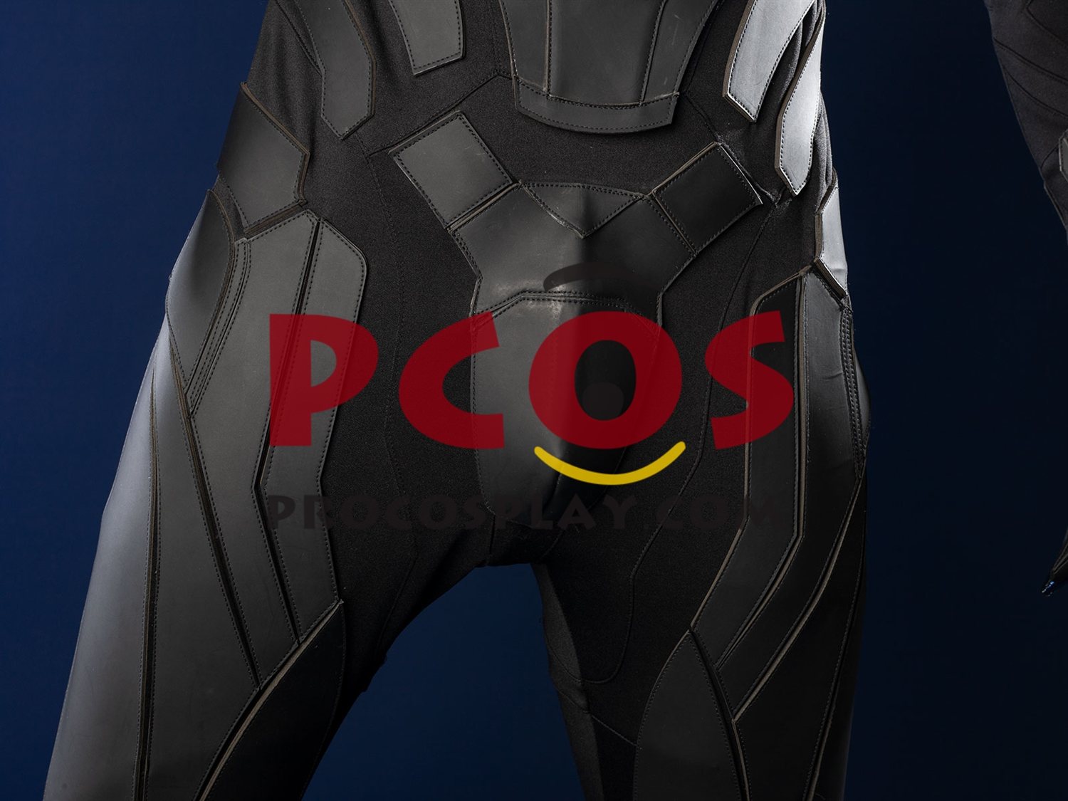 Cosplay Costume Matte Version C09737