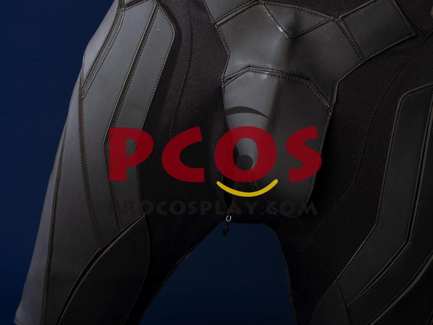 Cosplay Costume Matte Version C09737