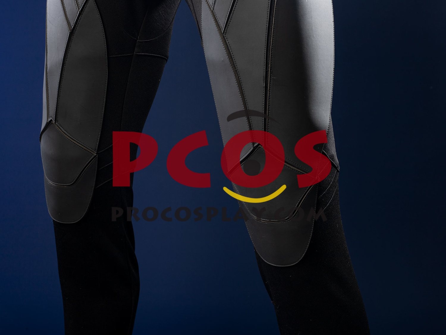 Cosplay Costume Matte Version C09737