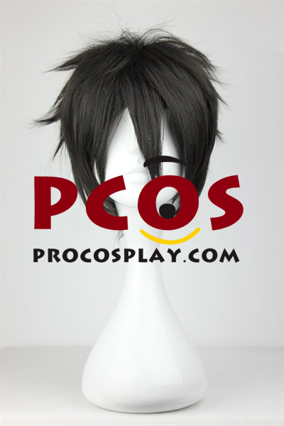 Kirito Kirigaya Kazuto Cosplay Wig mp000484
