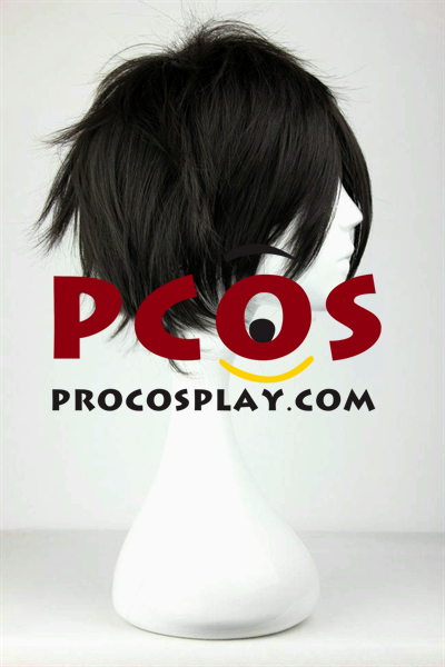 Kirito Kirigaya Kazuto Cosplay Wig mp000484