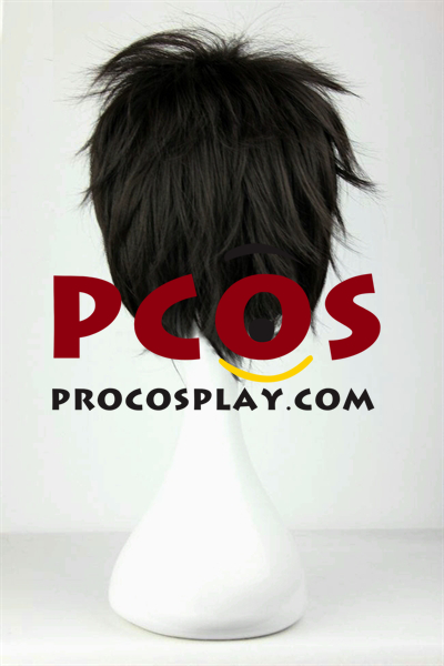 Kirito Kirigaya Kazuto Cosplay Wig mp000484