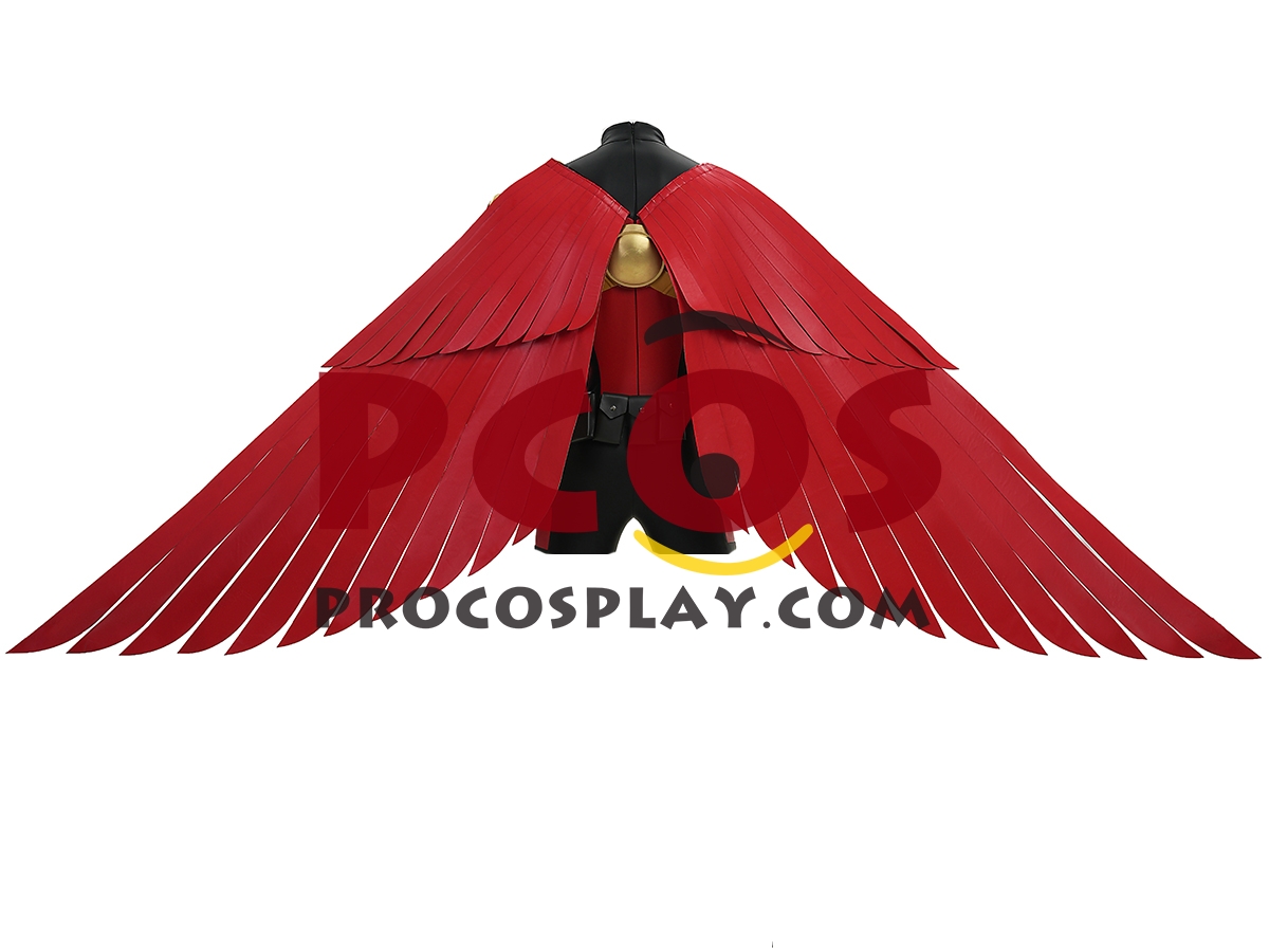 (image for) War Cosplay Wings C09950