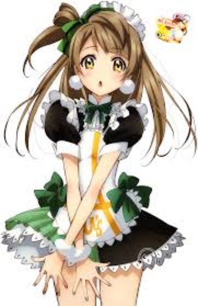 Minami Kotori (image for) Minami Kotori