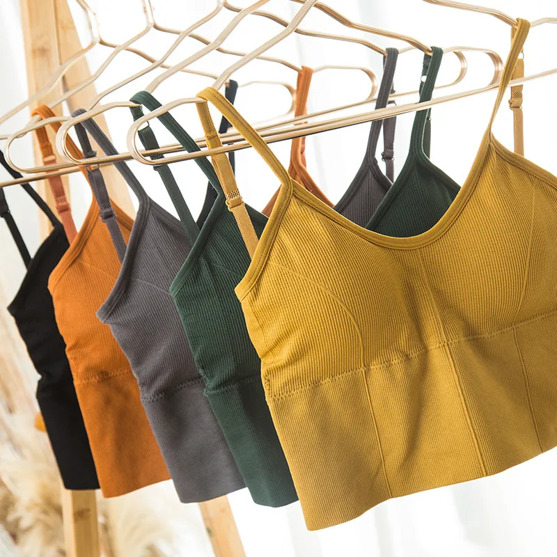 Seamless Shaping Sports Bra – Solid Color Activewear for Everyday Support